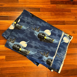 ⭐️ Harry Potter Fleece Fabric Chamber of Secrets Flying Car
